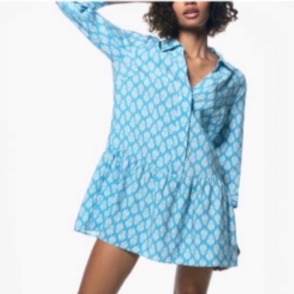 Zara the Carly dress